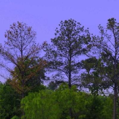 上海麻将下载手机版截图