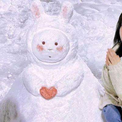 NG体育下载手机版