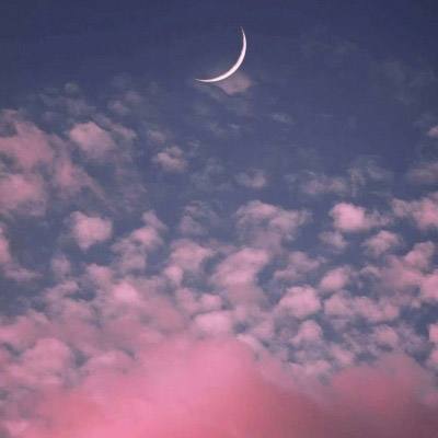 365体育中国官方网站