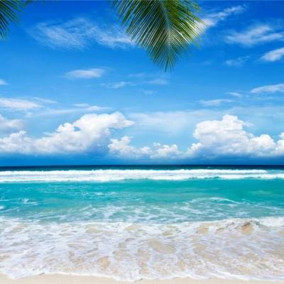 宝博游戏下载手机版