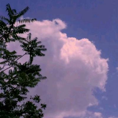 半岛综合体育APP下载