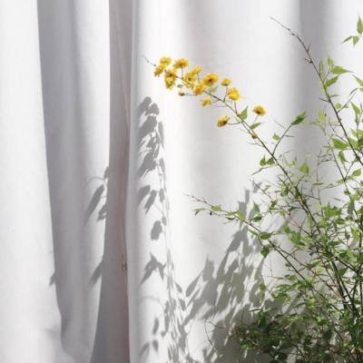 爱体育官方手机app下载