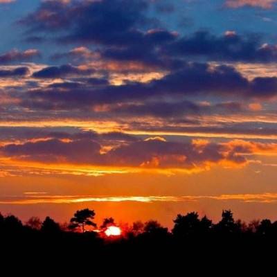 牛宝体育登录地址入口