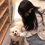 b体育旧版官方下载入口